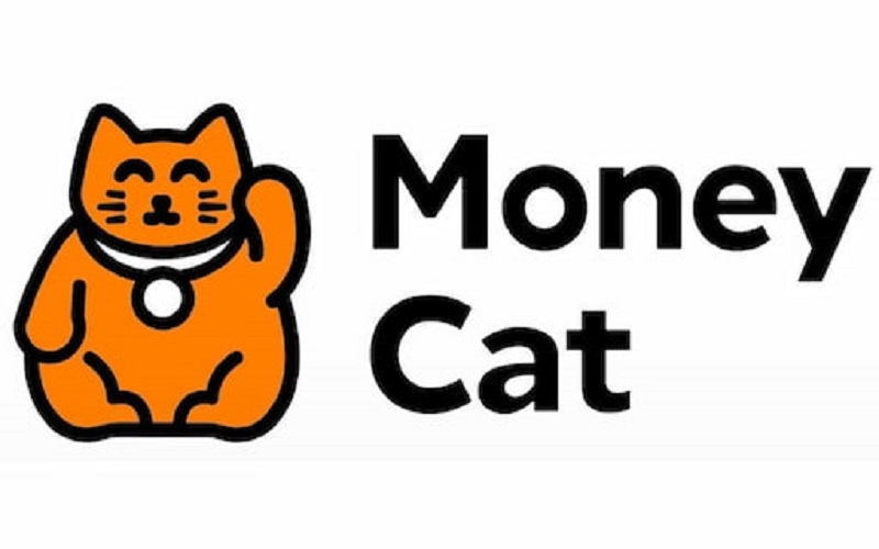 Vì sao khi chơi Win79 nên dùng app MoneyCat để vay tiền online thay vì vay trực tiếp 